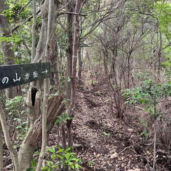 火の山方面へ