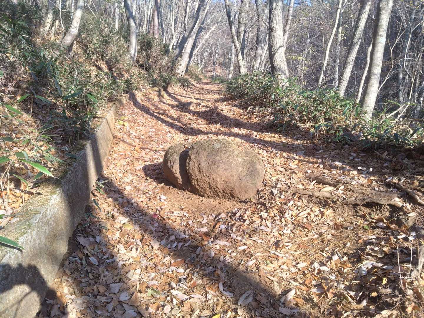 おしりが落ちてた🍑