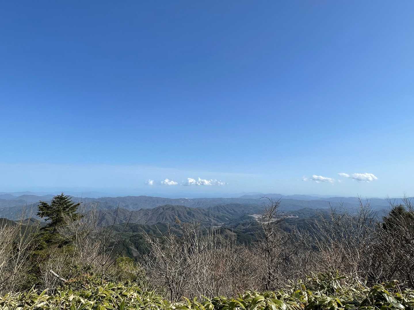 海まで見えるね👀