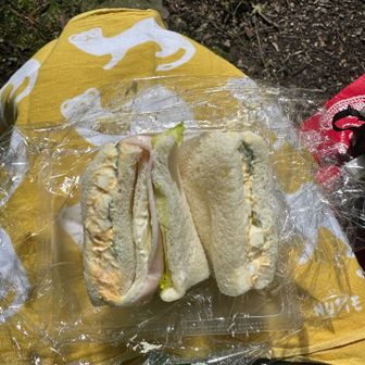 今日も料理女子してみました笑
サンドイッチなんか作っちゃったよー🥪
形は崩れてるけど映えないけど
美味しかった(*´ч`*)ｳﾏｳﾏ