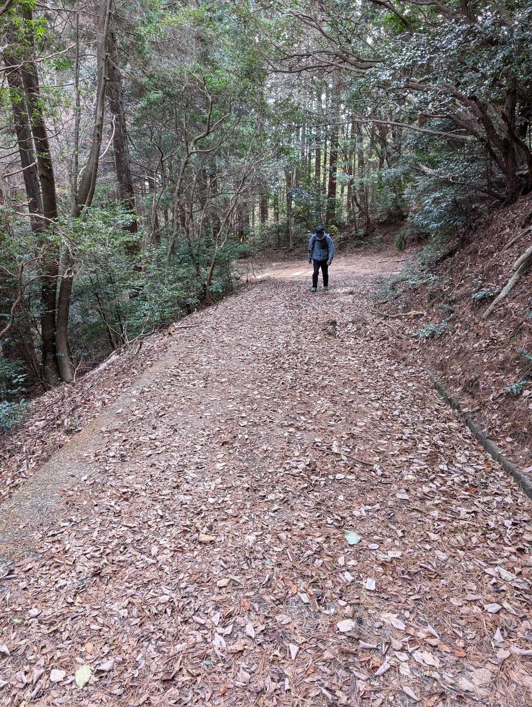 ずっとこんな道