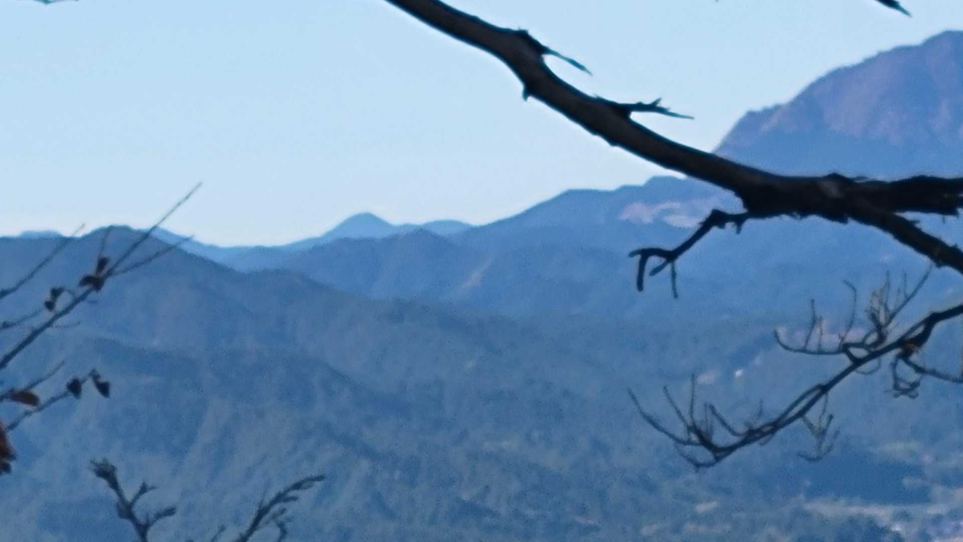 高見山がチョンと