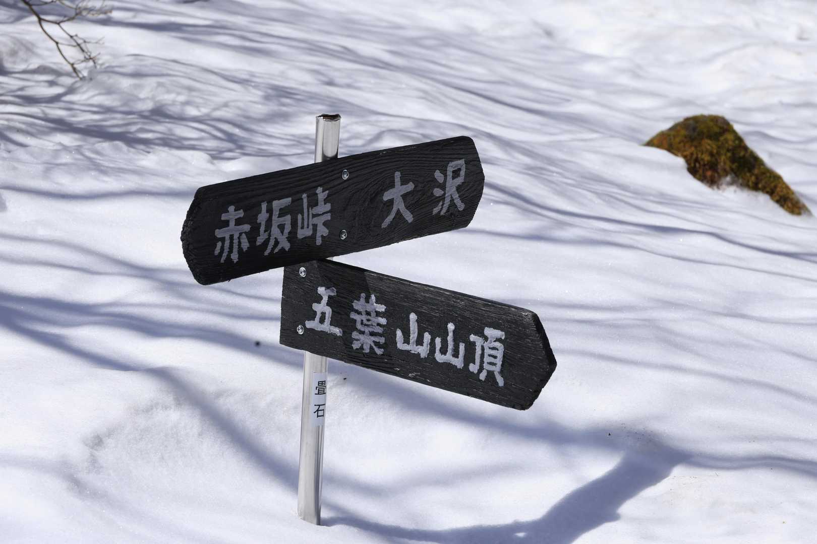 大沢に向かいます