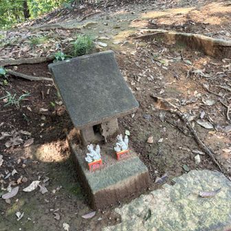 稲荷山に登頂したのはいいが、この後の道が、