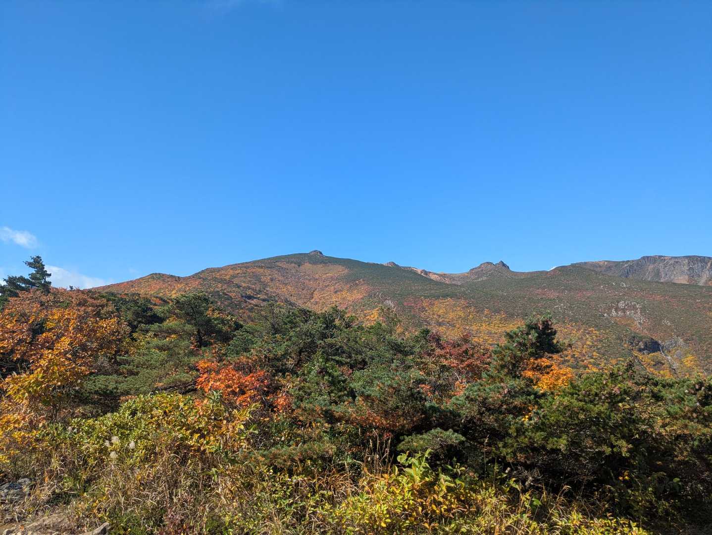 山頂が見える