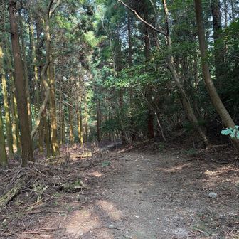 下山道