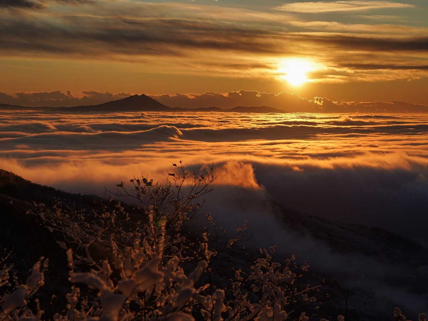 太平山表参道入口-大平山-ぐみの木峠-晃石山 往復コースの写真