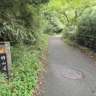 遊歩道