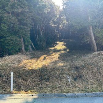 真城峠からスタート
下草を刈って綺麗にしてくれているみたいで、入口が分かりやすかったです
ありがとうございます♪