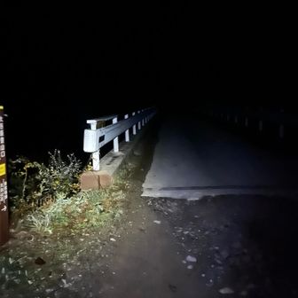 まずは登山口まで林道ウォーク。最近のトレンドさね。