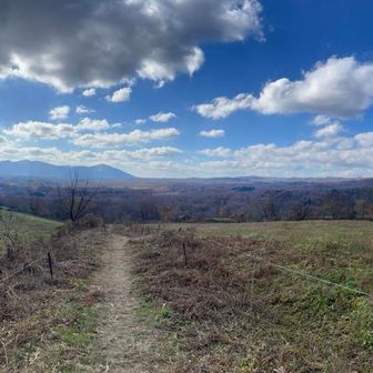 急降下した先は
広い牧草地