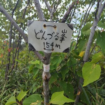 どんづるぼうってなかなか覚えられない私😂