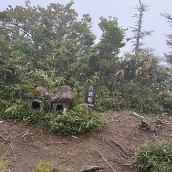 六弥勒1998m
右➡️牧場への帰り道
左⬅️高妻山へ