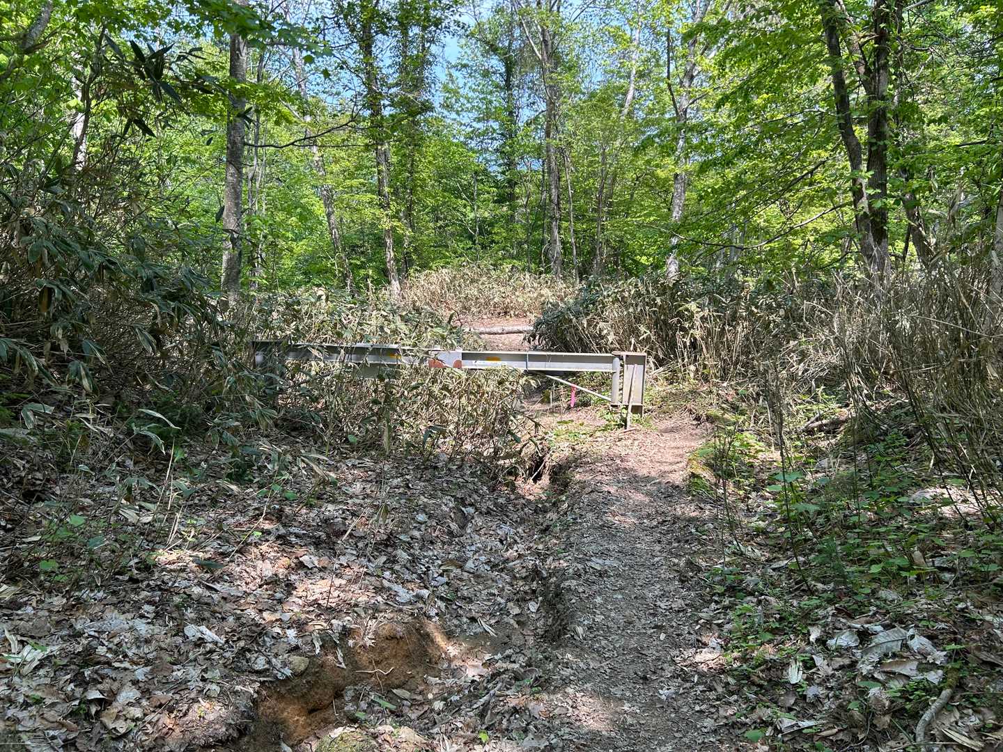 登山口到着
