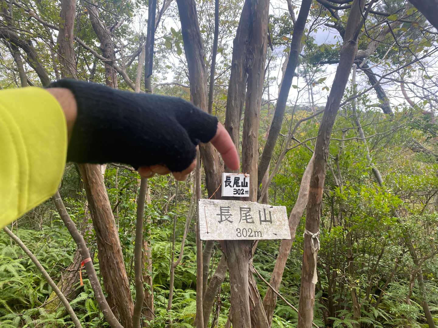 長尾山頂上到着😅
三角点ないので、山名板にエアータッチ👆