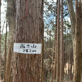 グレーピーク
富士山🗻