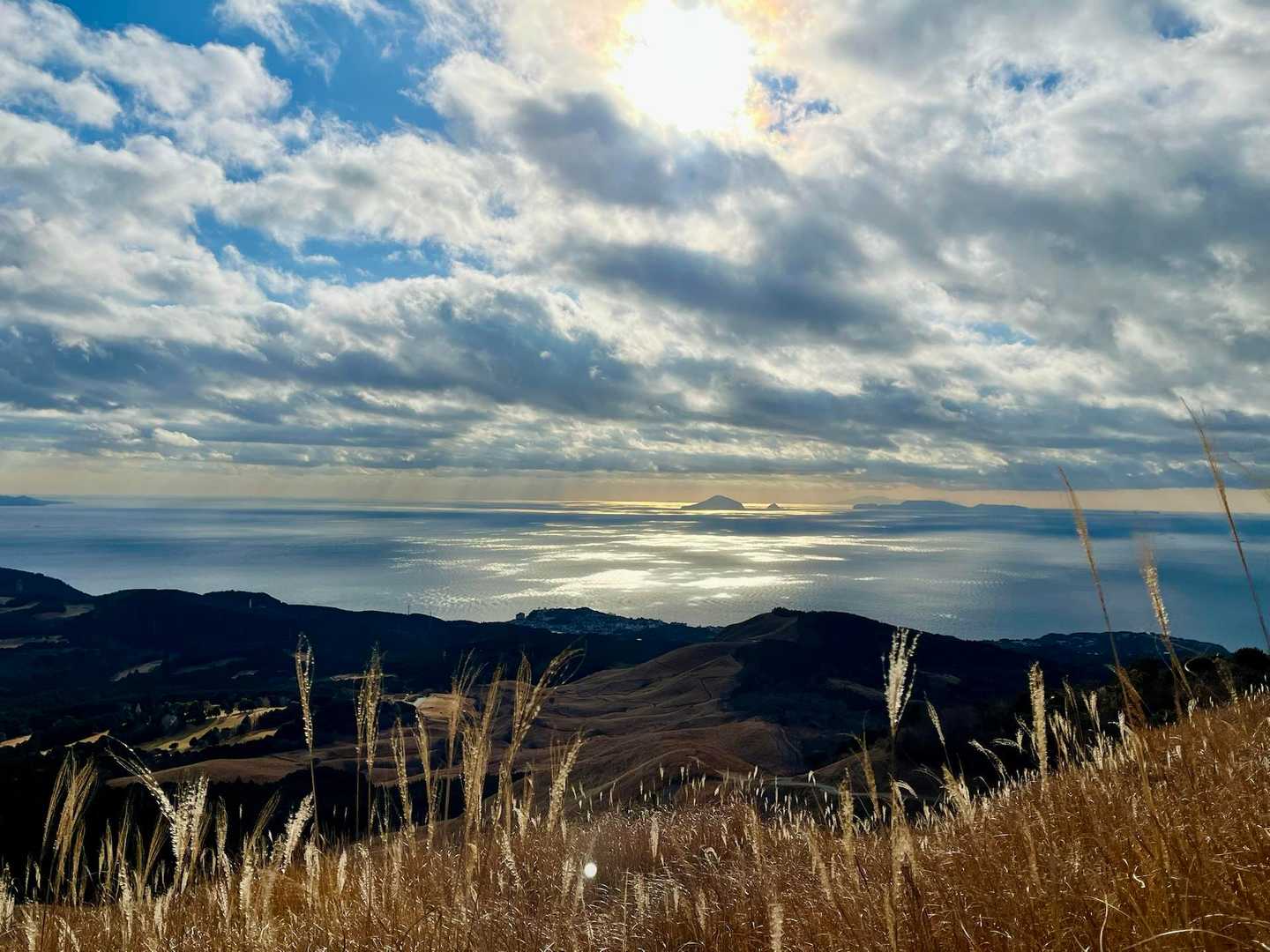 登りながら振り返ると海がキラキラ✨
中央に見えるのは利島です。