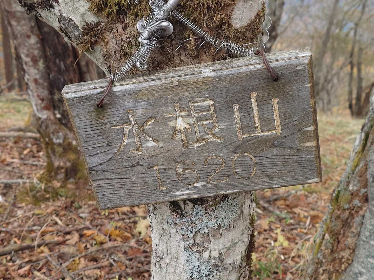 鷹ノ巣山-水根山-城山-六ツ石山-長尾ノ頭 周回コースの写真
