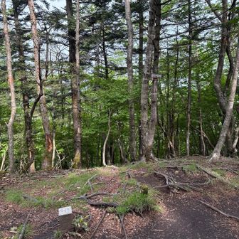 眺望なし。剣ヶ峰登頂🏔️