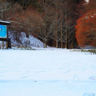 キャンプ場前の広場
結構積もってます☃️