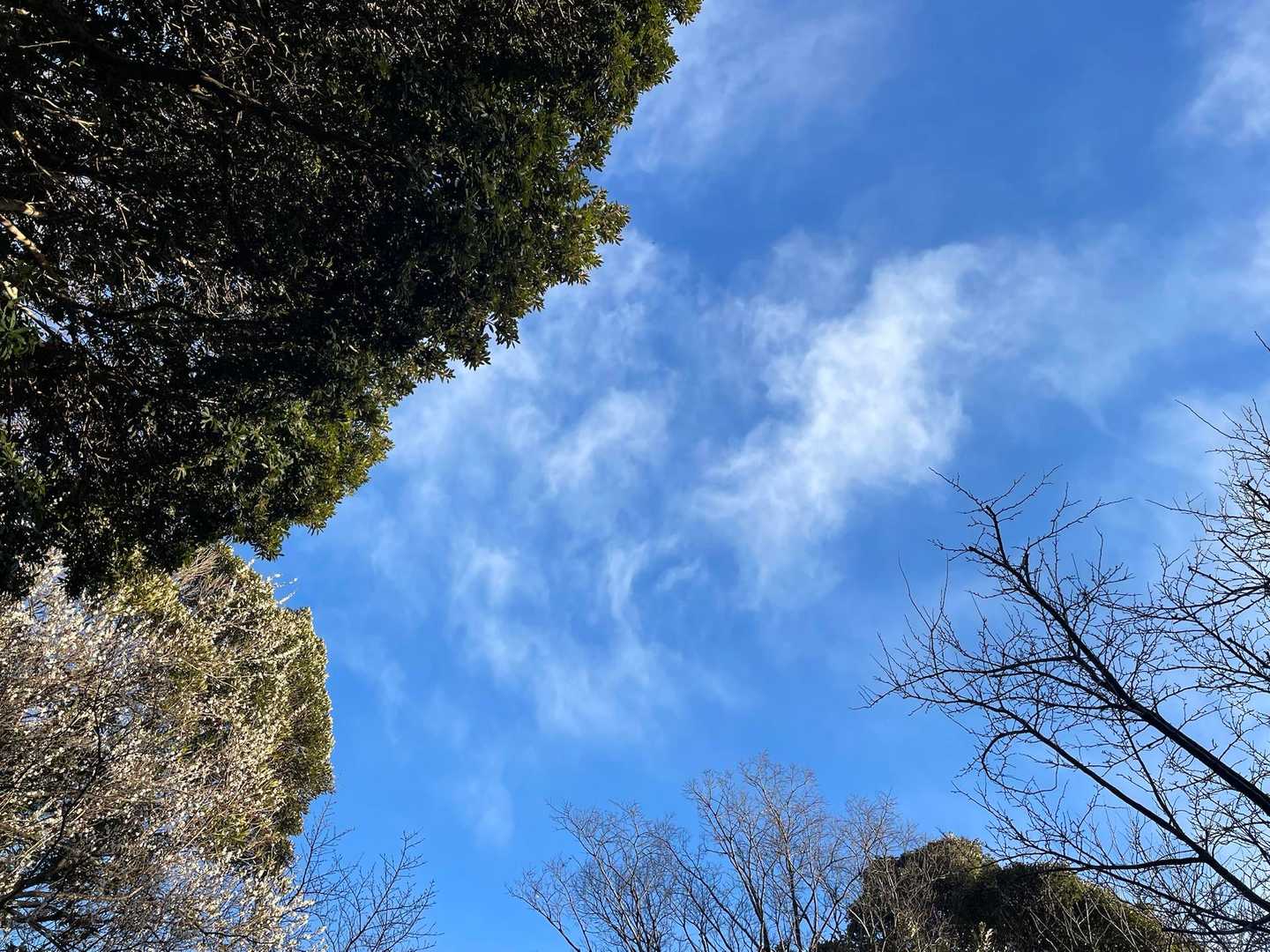 大磯駅-浅間山-高麗山-高来神社 縦走コースの写真
