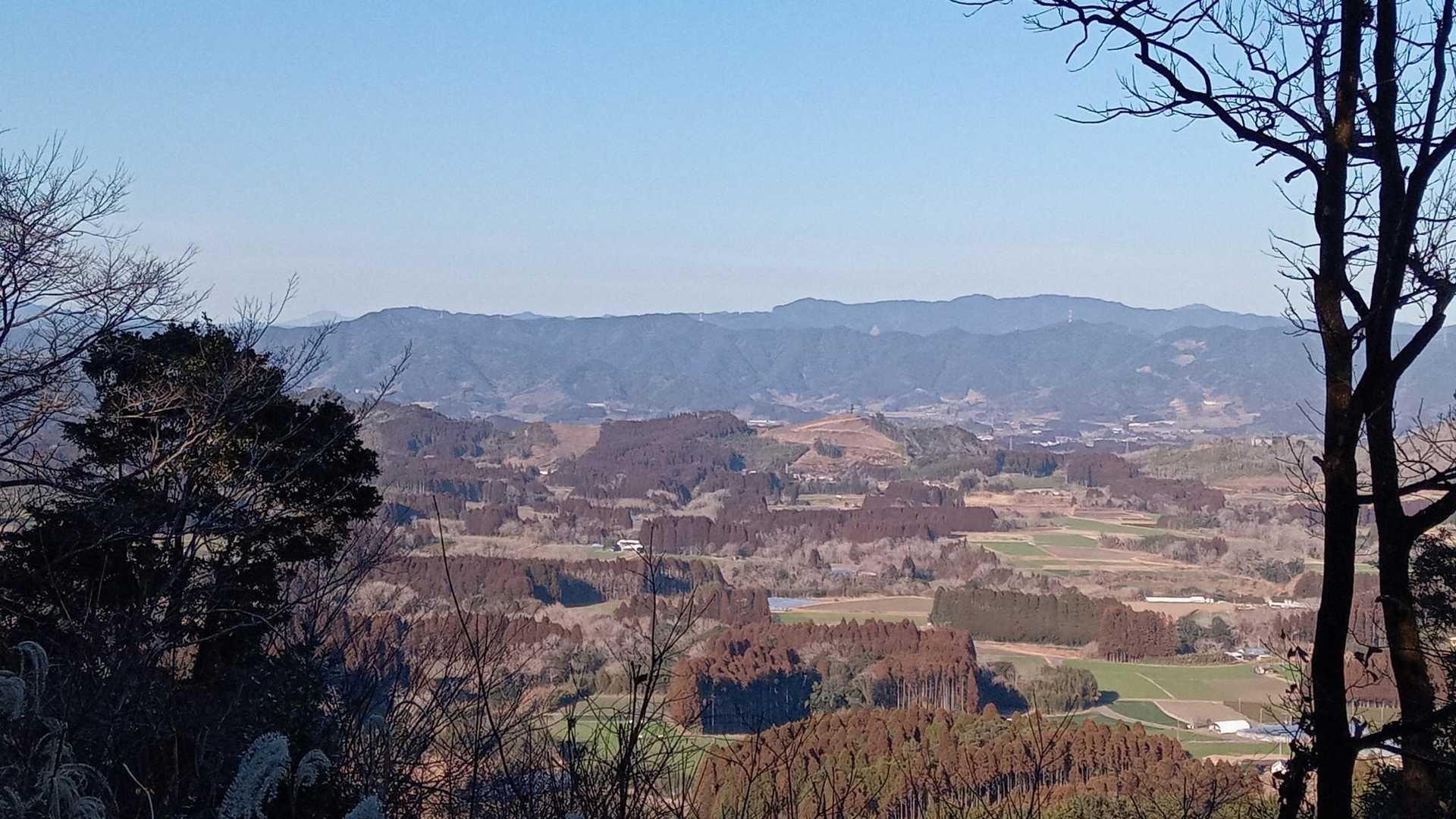 時折北側の景色がチラチラ見えた