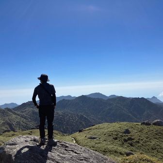いのしし山