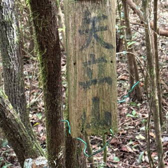 矢立山 到着 結構距離ある 此処を過ぎると 速く感じる