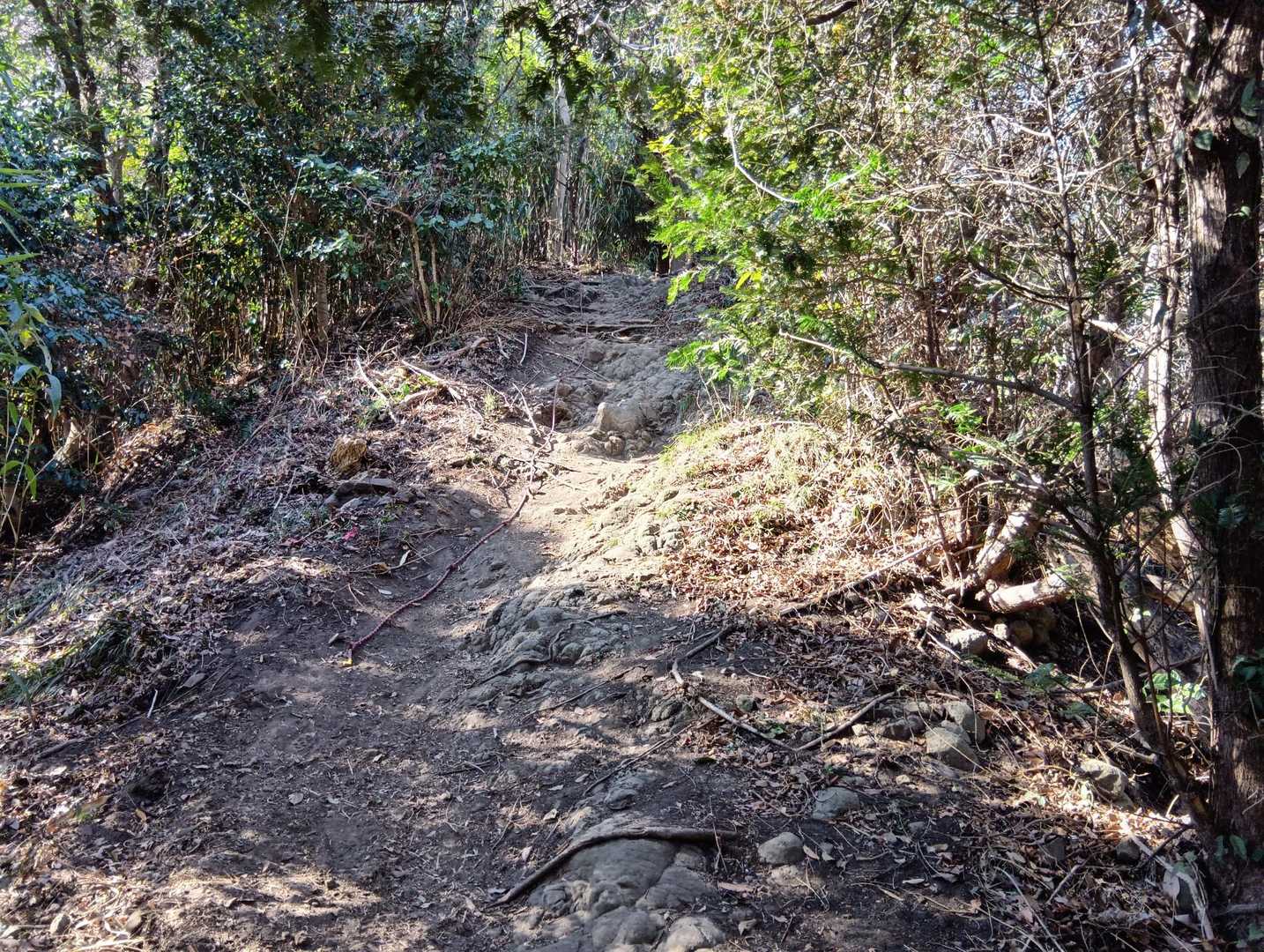 ロープ！
二子山（下の山）を登るときも、下るときもロープがある〜