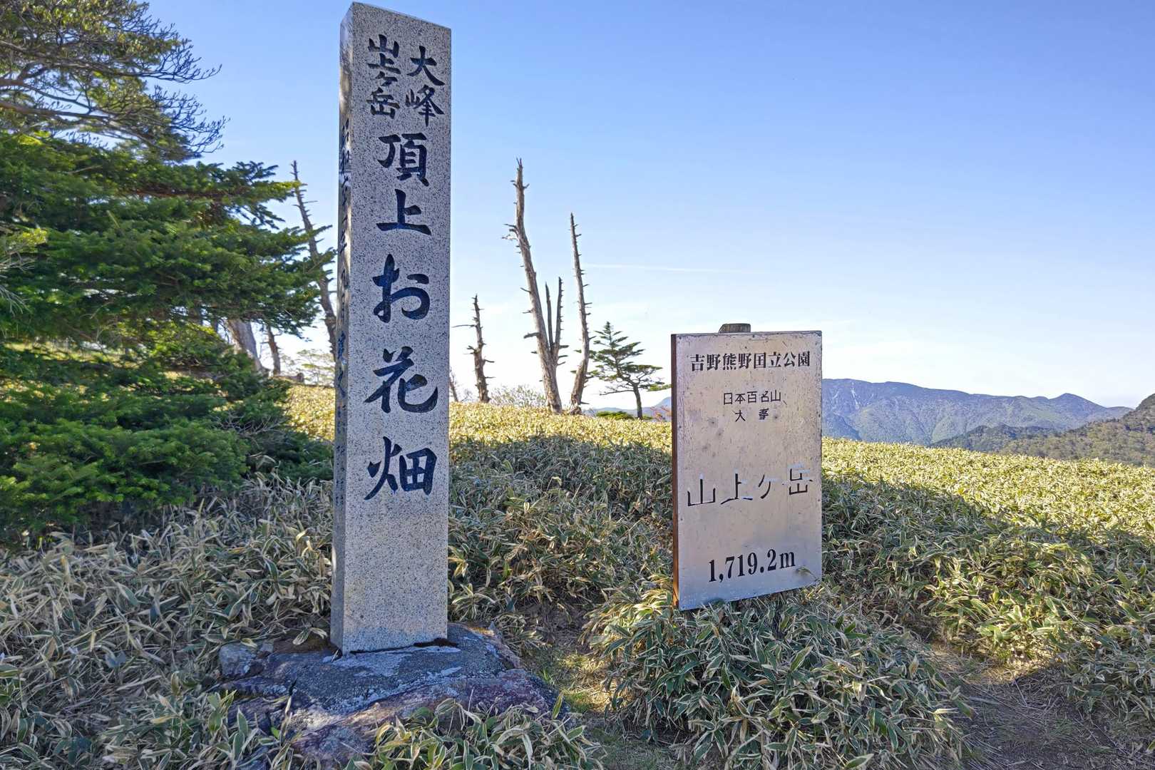 昔はお花畑だったのかな🤔