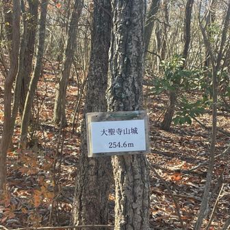 10座目：大聖寺山城🏯