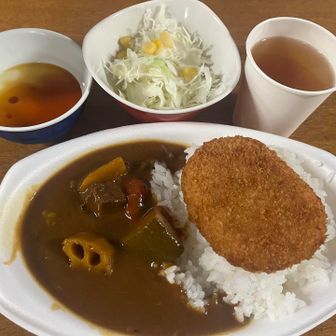明日に備えてしっかり食べる🍛

みんなが口を揃えて言うくらいデザートのプリンが美味しすぎた🍮
もちろんカレーも🫶

ひるがの高原が近くて美味しい牛乳で作ってるからかなってお話ししながらいただきました😋