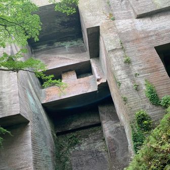 イッヌ・ネコスキー