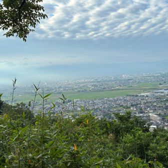 白鳥城跡から富山市街地