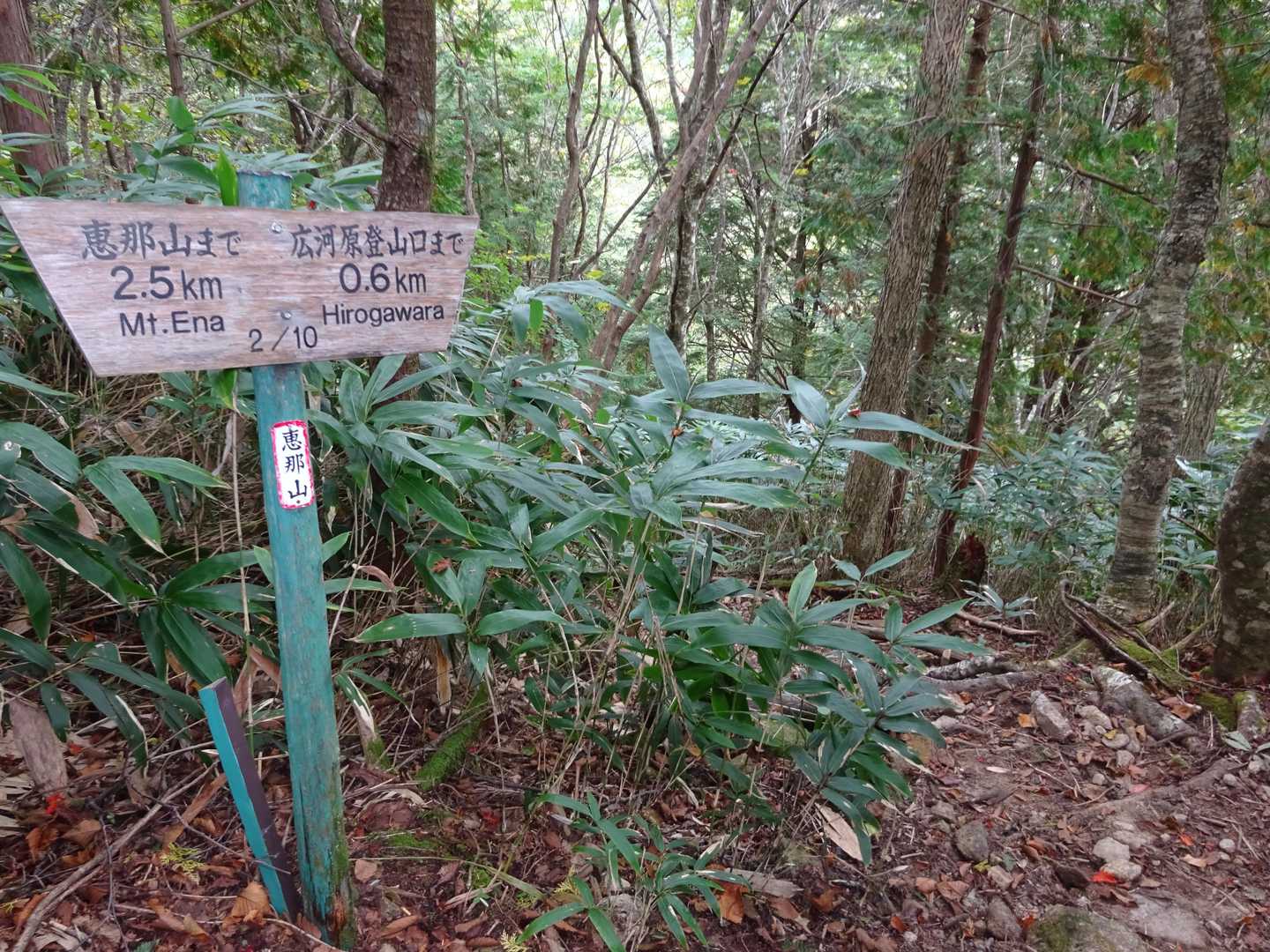 降りる時も　4合目辺りから岩や石などで足場が悪いので注意が必要です　油断すると足首やりそうです