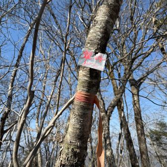 まったく分からない山頂標識😱