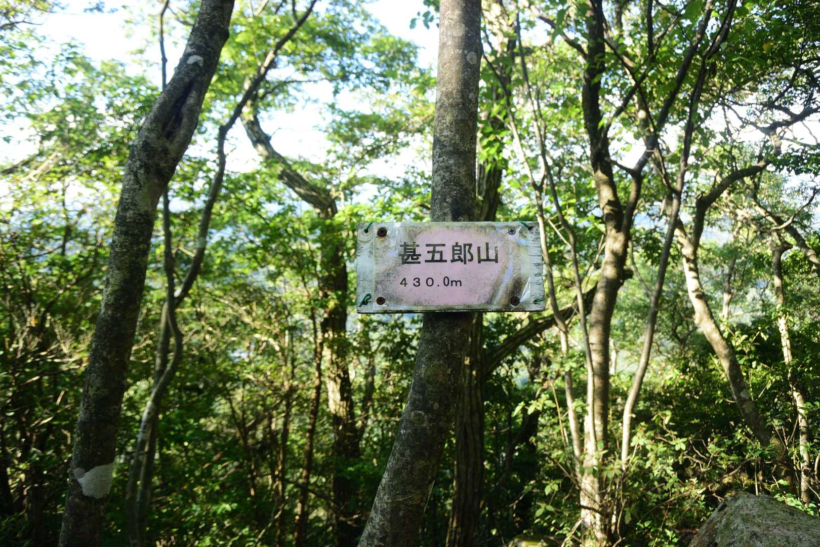 甚五郎山に到着