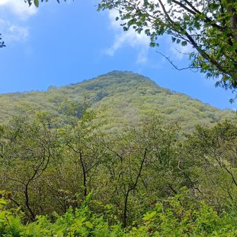 「棒名富士」です