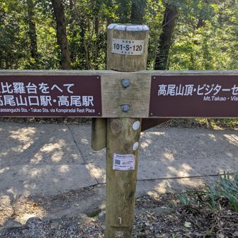 金毘羅⛩️へ