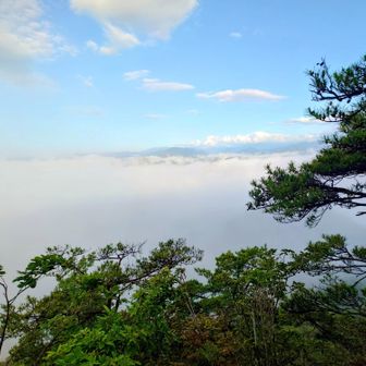 玉座から見渡す雲海