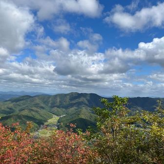 晴れ渡って、良い景色