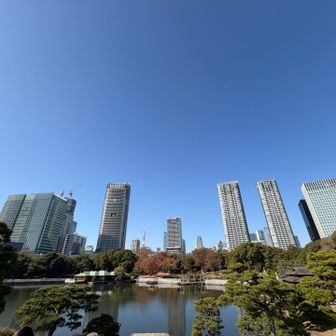 江戸と令和のコントラスト
不思議な空間だけど癒される