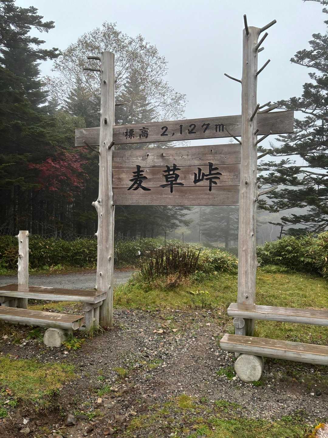 スタート🚶‍♀️