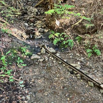 鉄筒の鹿威しと水車があった。
割と遠方まで聞こえて、その名の通り鹿を威す効果があるのかな。