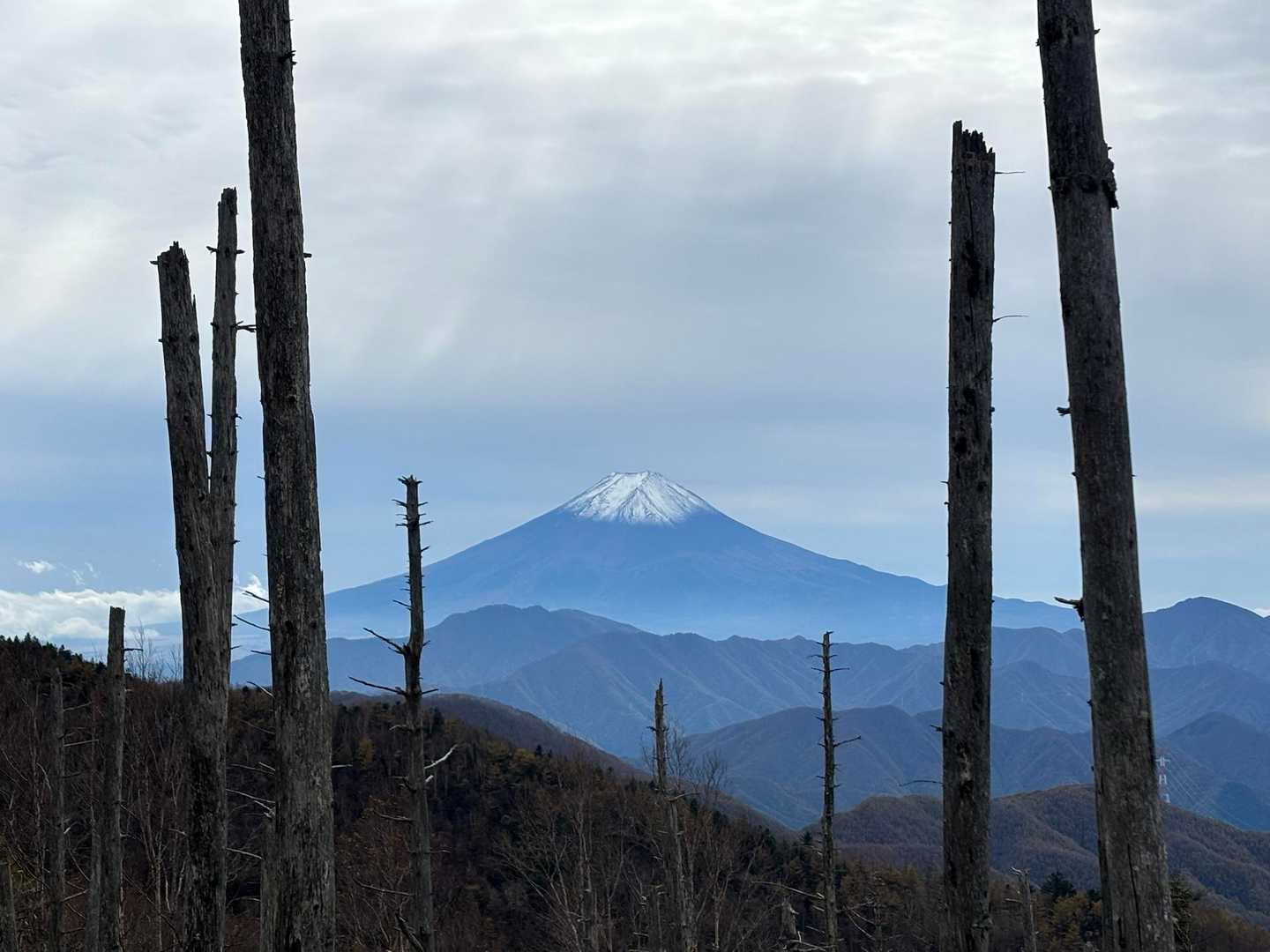 小屋平バス停-牛奥ノ雁ヶ腹摺山-すずらん昆虫館前バス停 縦走コース
の写真