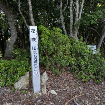 花咲山
到着