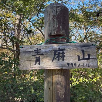 山頂