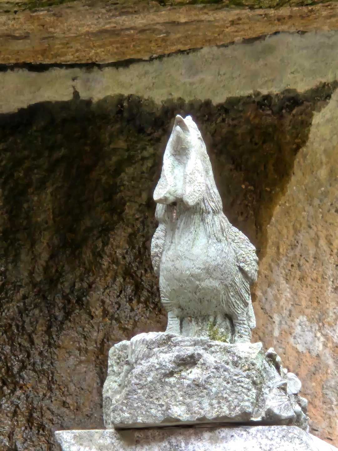 私は酉年🐤