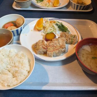 夕食。豚肉が柔らかくて美味。ビーフシチューにはありつけませんでしたがカフェのご飯もとても美味しかった。