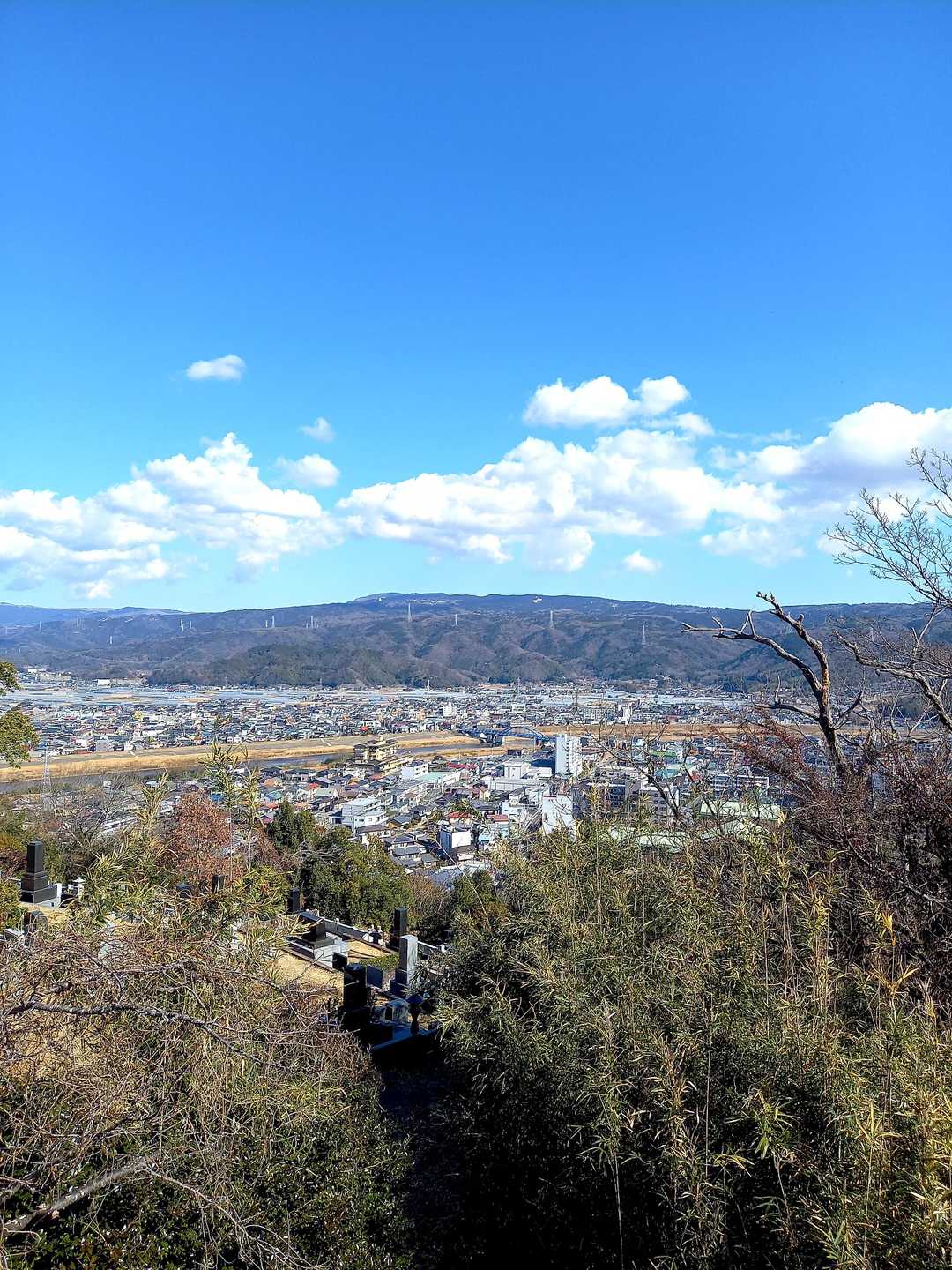 奥に韮山が小さく見えます